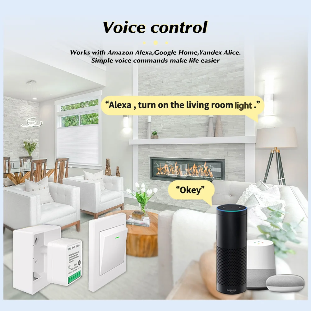 For Tuya Mini Smart WiFi Switc - Home Assistant Tuya ulasan dan harga