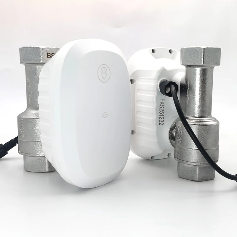 Water Valve WiFi Smart Control - Home Assistant Tuya ulasan dan harga