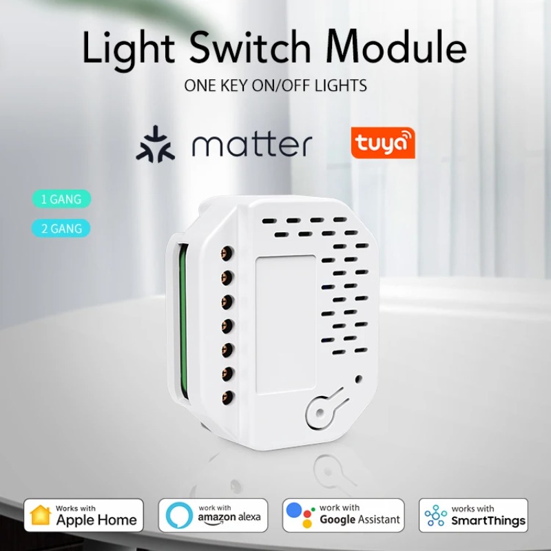 Matter Light Switch Module 2Ga - Smart Relay Tuya ulasan dan harga