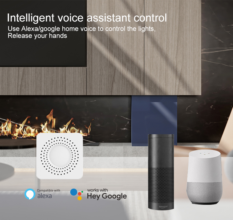 Tuya Mini Smart Switch WiFi 1- - Home Assistant Tuya ulasan dan harga