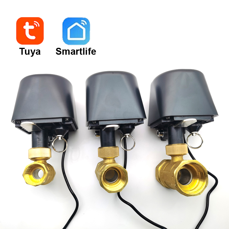 Tuya WiFi or Zigbee Water Valv - Home Assistant Tuya ulasan dan harga